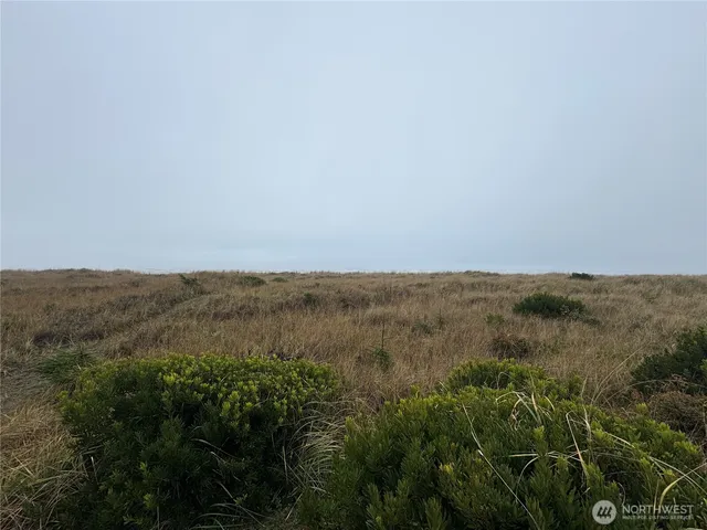 a view of a mountain in the distance in a field