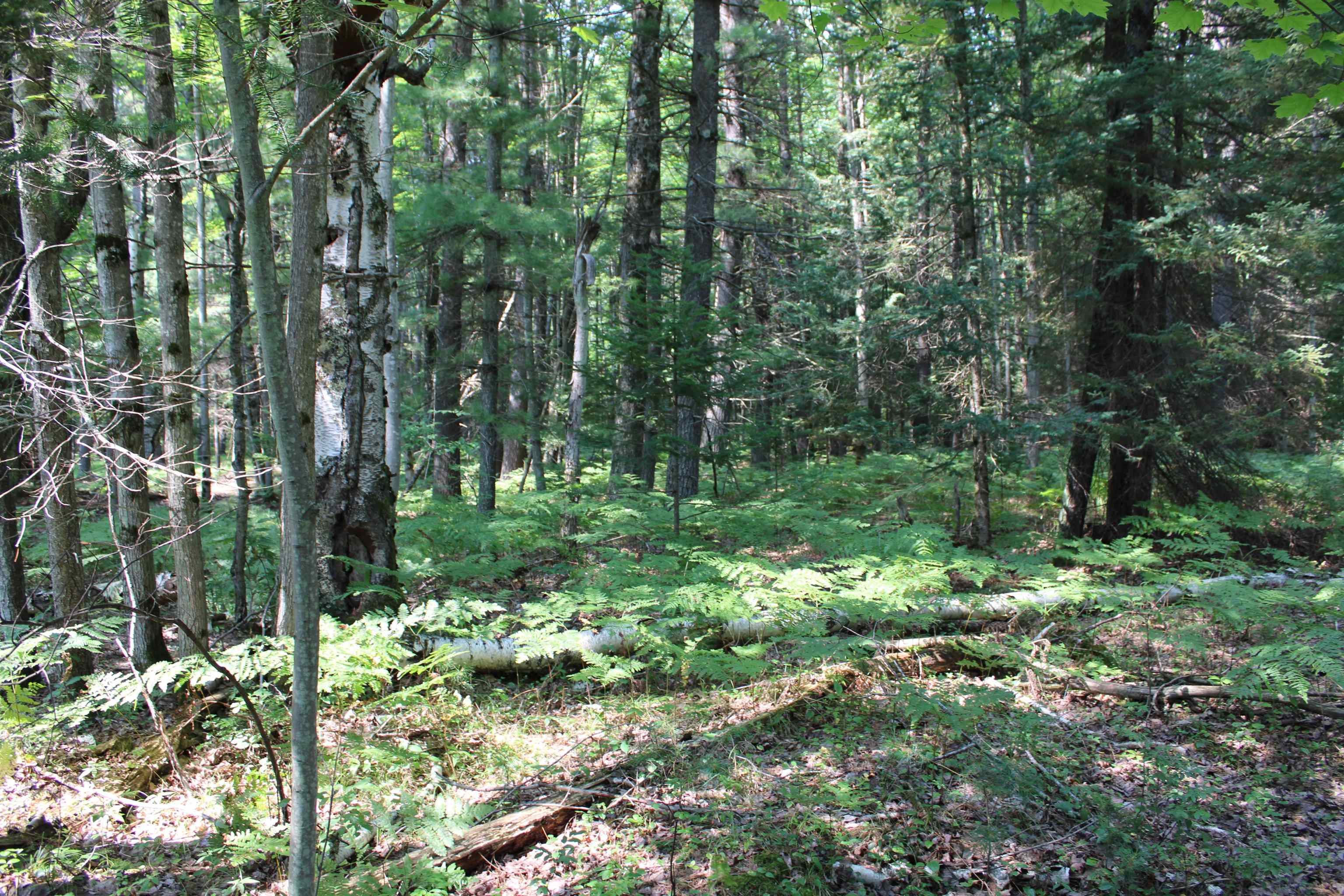 4920 Lund Road Southwest Fife Lake, MI 49633 - Photo 15 of 21