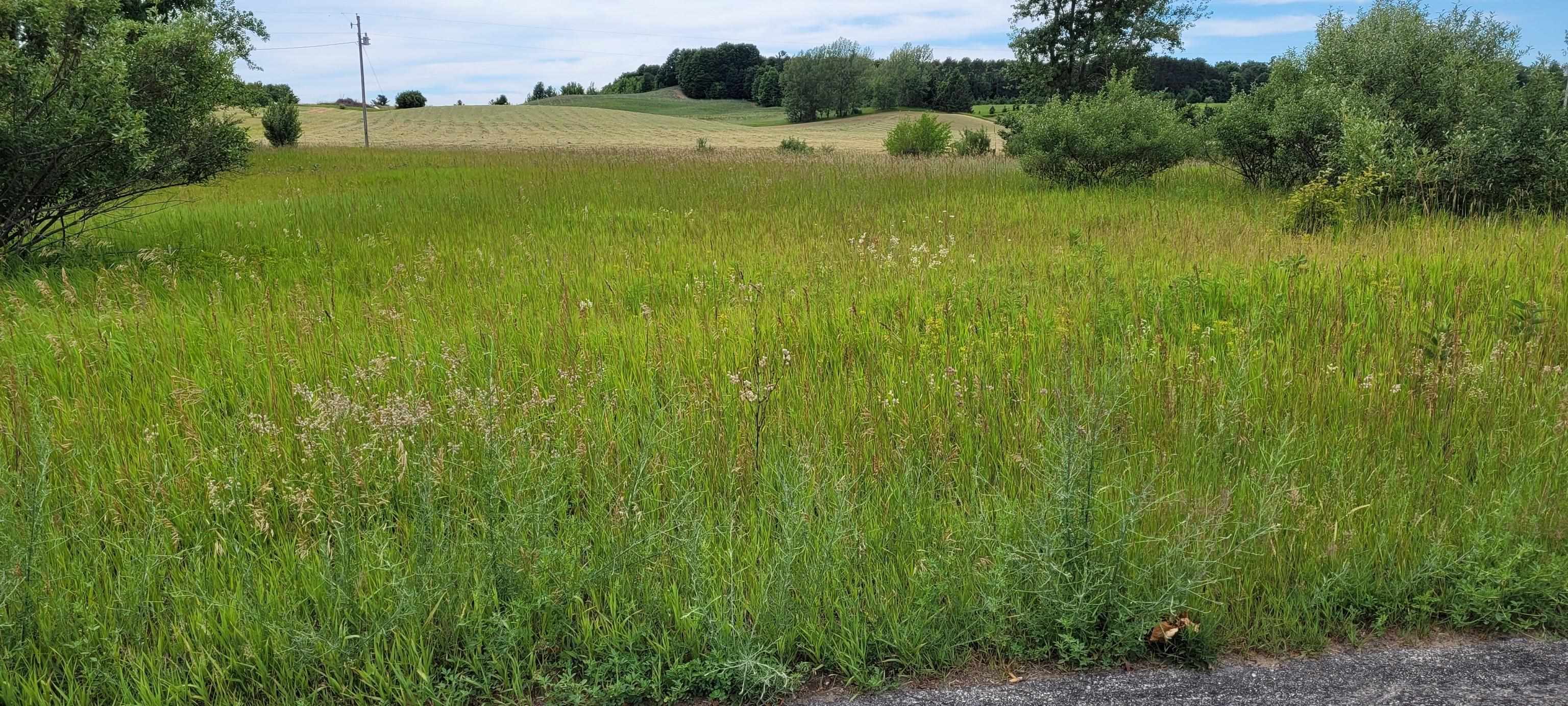 0 East Harrys Road Traverse City, MI 49684 - Photo 2 of 6 Gallery Image 2