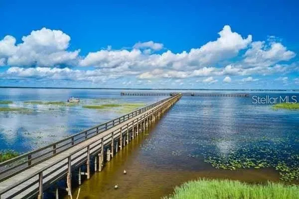a view of swimming pool with seating yard and trees in the background