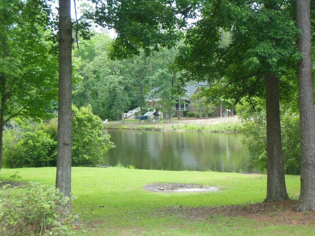 83 Lake Margaret Road Denmark, SC 29042 - Photo 31 of 37 Photo 31