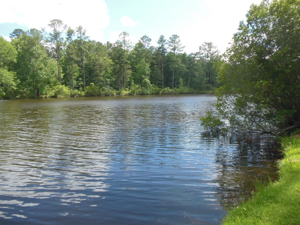 83 Lake Margaret Road Denmark, SC 29042 - Photo 34 of 37 Photo 34