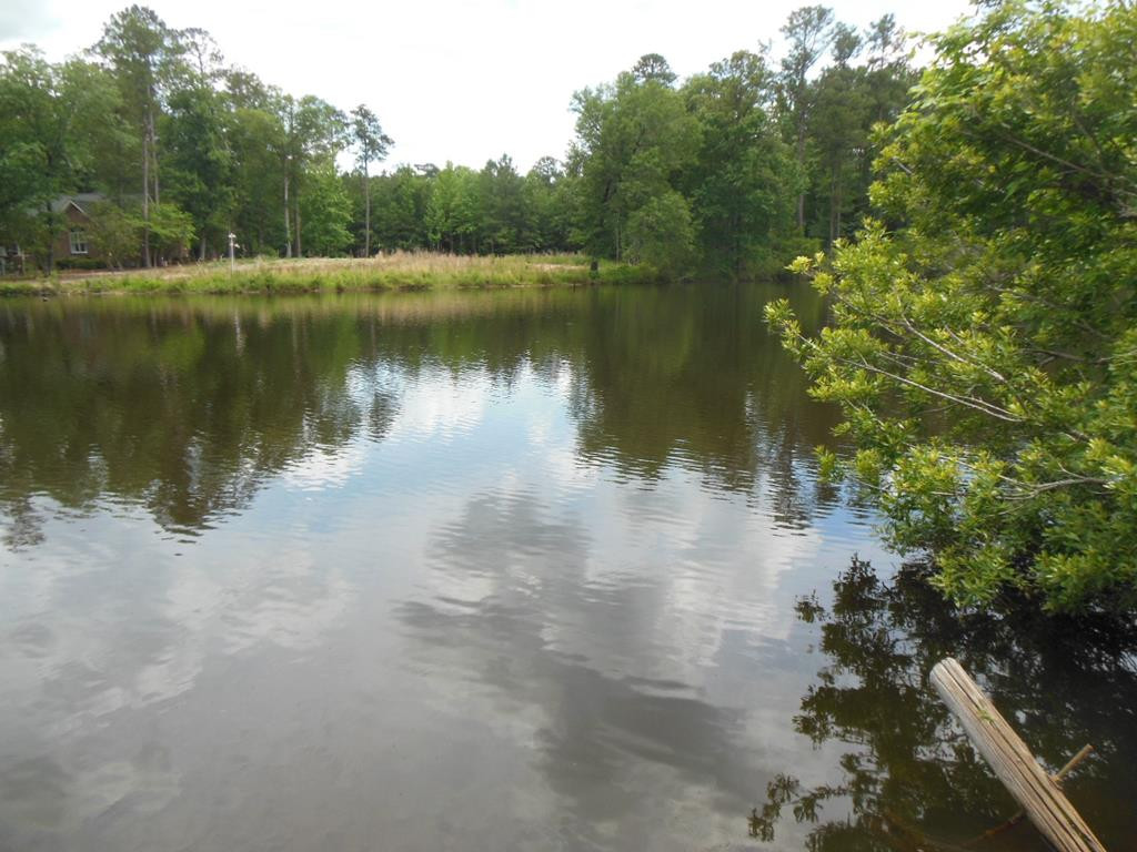 83 Lake Margaret Road Denmark, SC 29042 - Photo 35 of 37 Photo 35