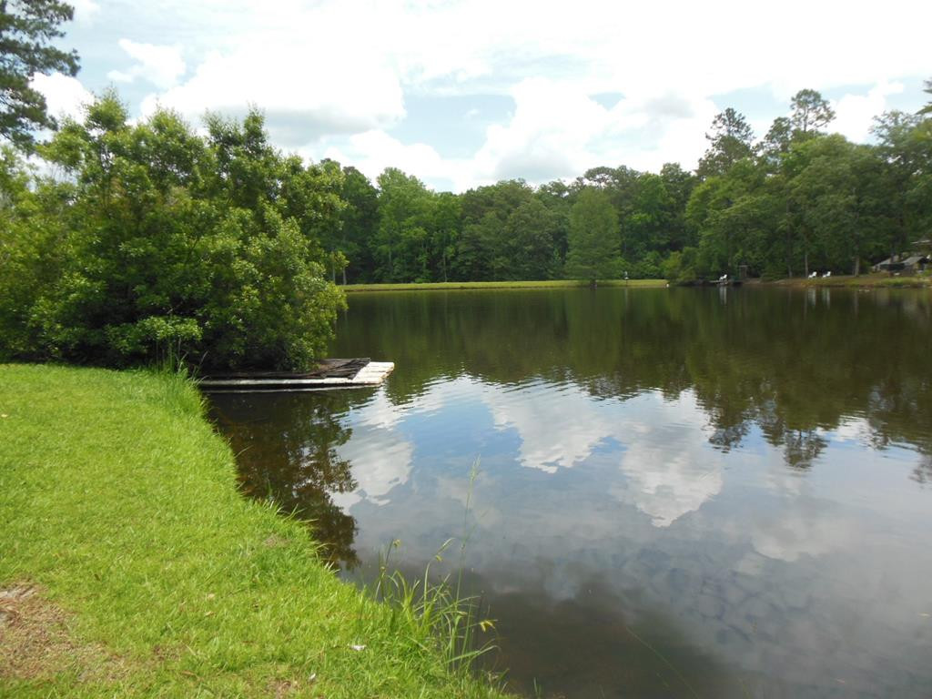 83 Lake Margaret Road Denmark, SC 29042 - Photo 36 of 37 Photo 36