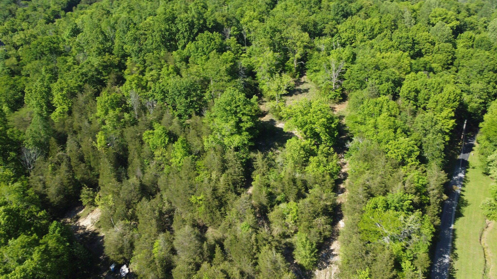 738 Rogues Fork Road Bethpage, TN 37022 - Photo 16 of 16 Gallery Image 16