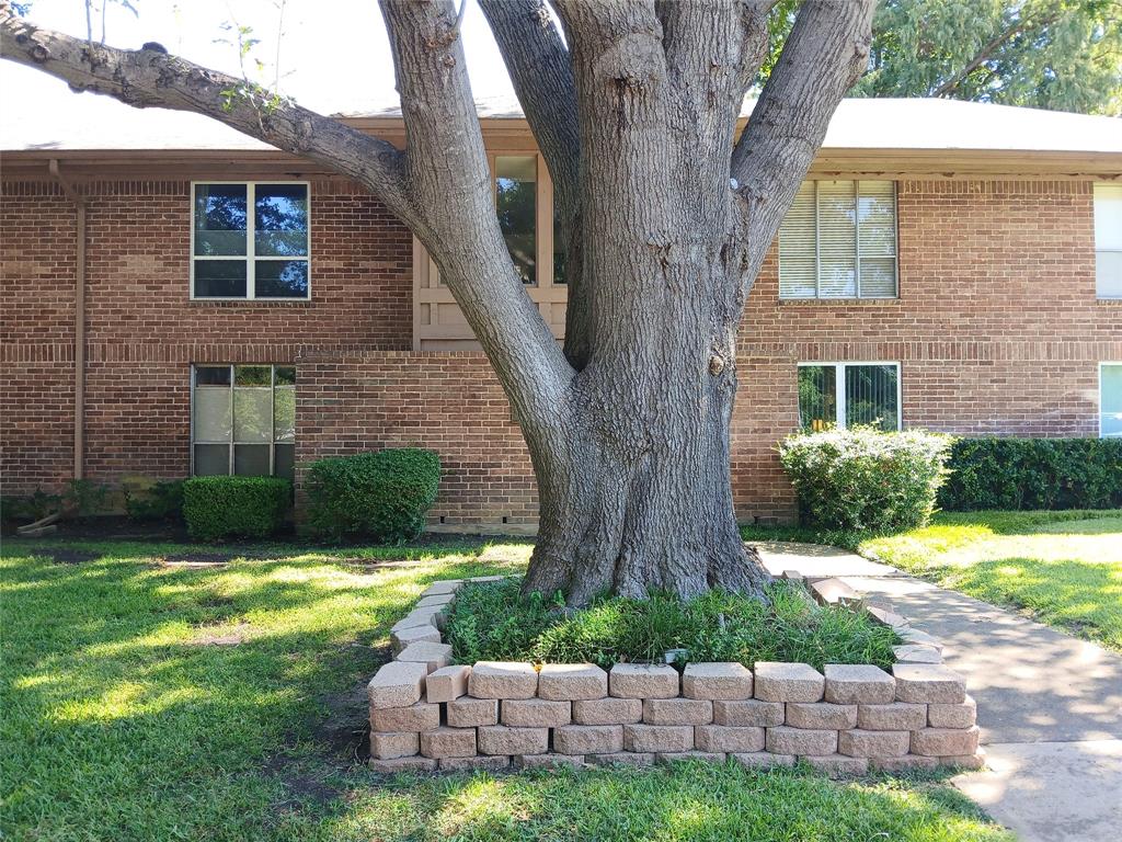 10536 Stone Canyon Road, Unit 216 Dallas, TX 75230 - Photo 3 of 19 a view of a garden with a tree