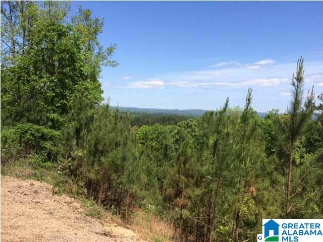 2022 Chelsea Rdg Drive, Unit 51A Columbiana, AL 35051 - Photo 2 of 3