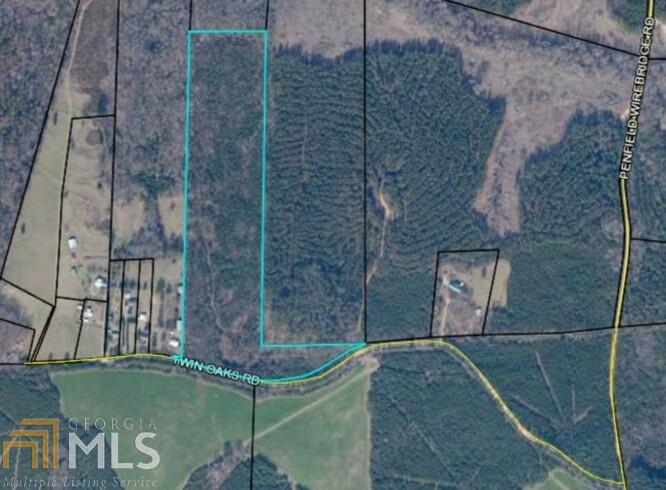 0 Twin Oaks Road Union Point, GA 30669 - Photo 1 of 1