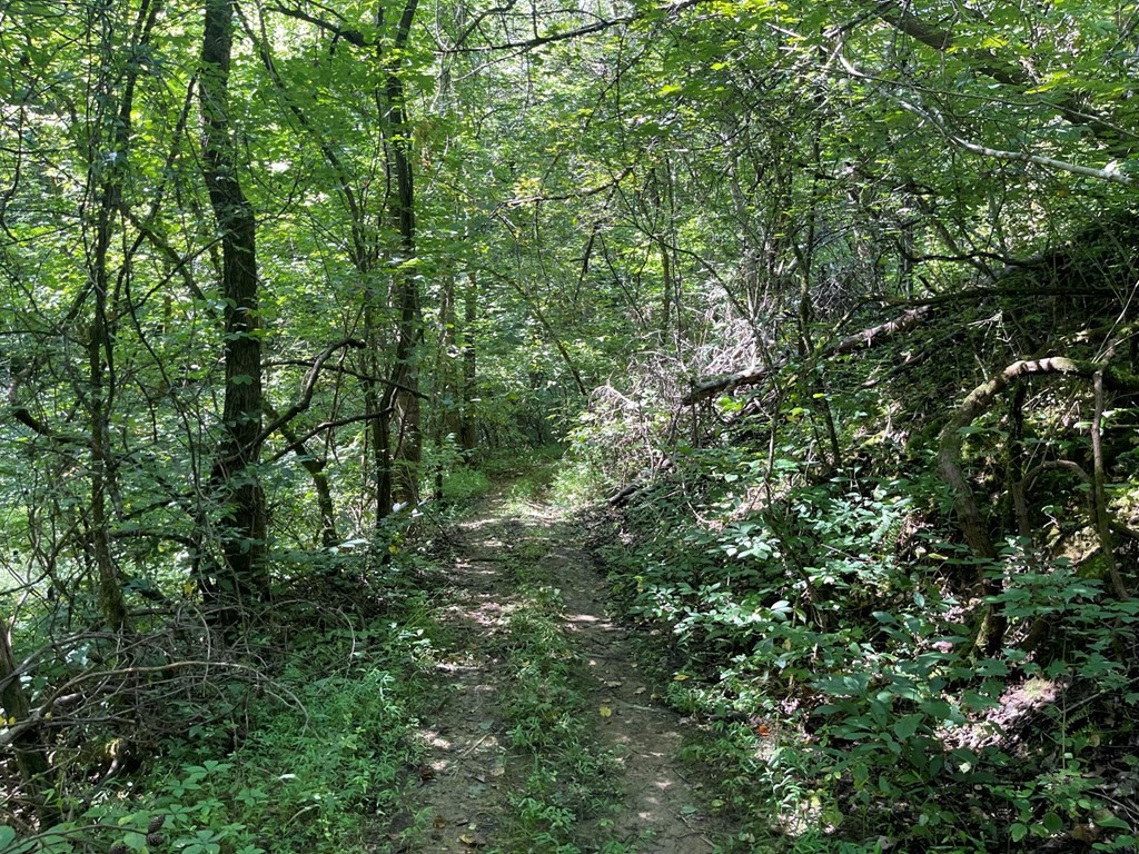 1549 Douglas Dam Road Sevierville, TN 37876 - Photo 9 of 30