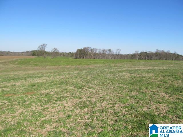 1005 Ruel Snead Road Altoona, AL 35952 - Photo 40 of 42