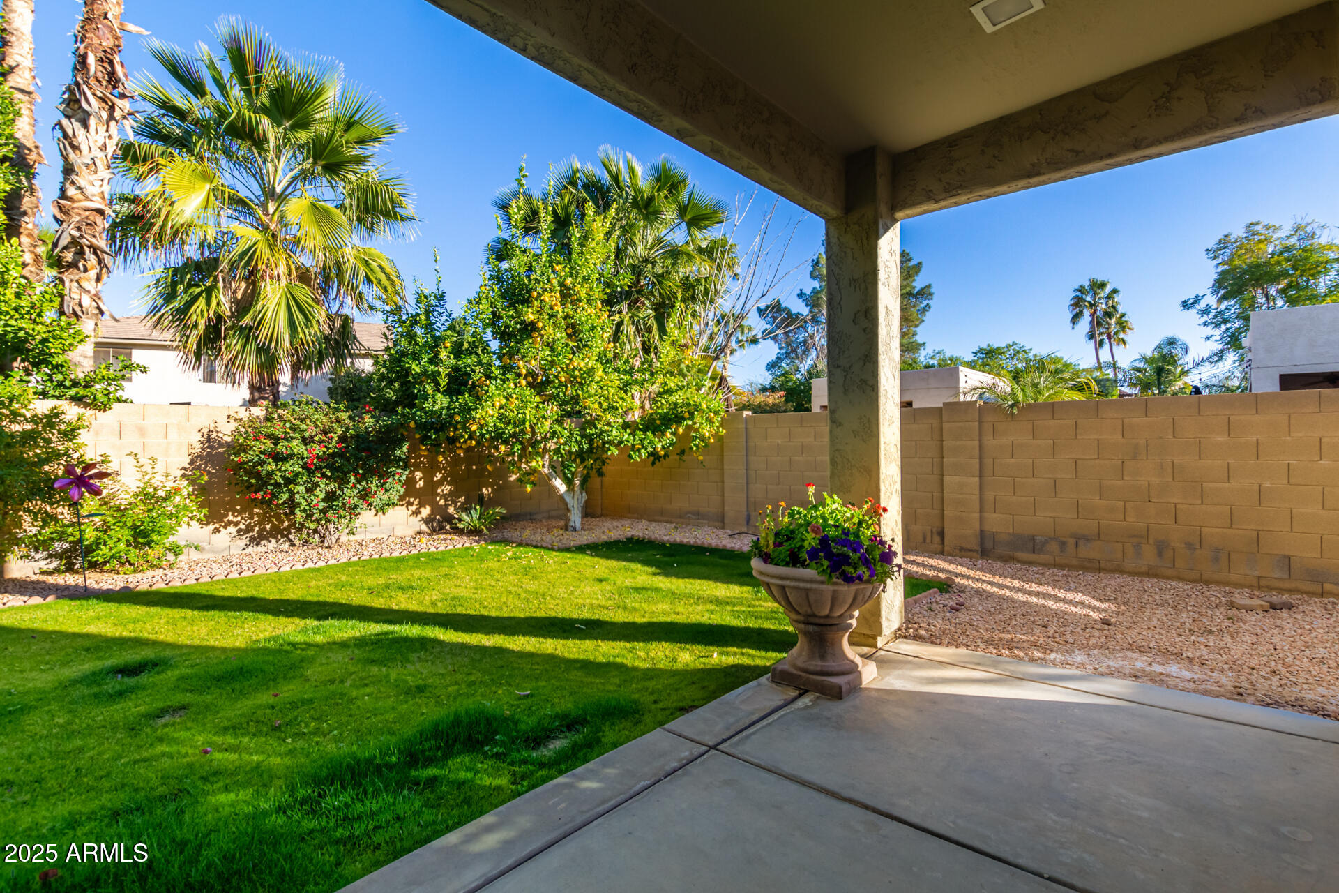 16607 North 50th Way Scottsdale, AZ 85254 - Photo 21 of 24 a view of a back yard