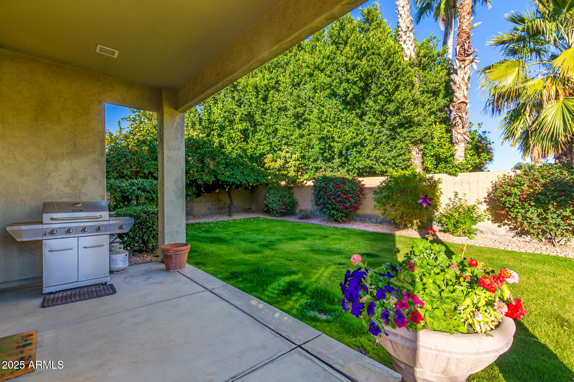 16607 North 50th Way Scottsdale, AZ 85254 - Photo 22 of 24 a view of a garden with a flower garden
