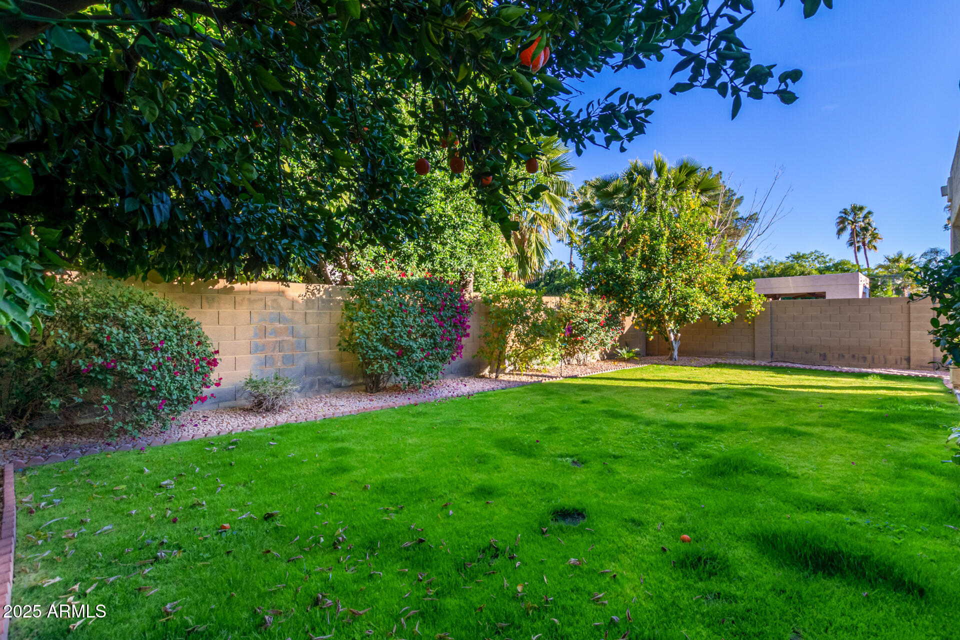 16607 North 50th Way Scottsdale, AZ 85254 - Photo 23 of 24 a view of yard with green space