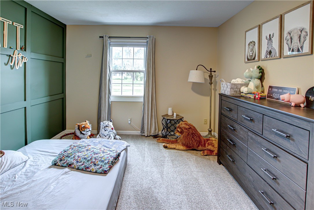 8765 Cleveland Road Creston, OH 44217 - Photo 24 of 50