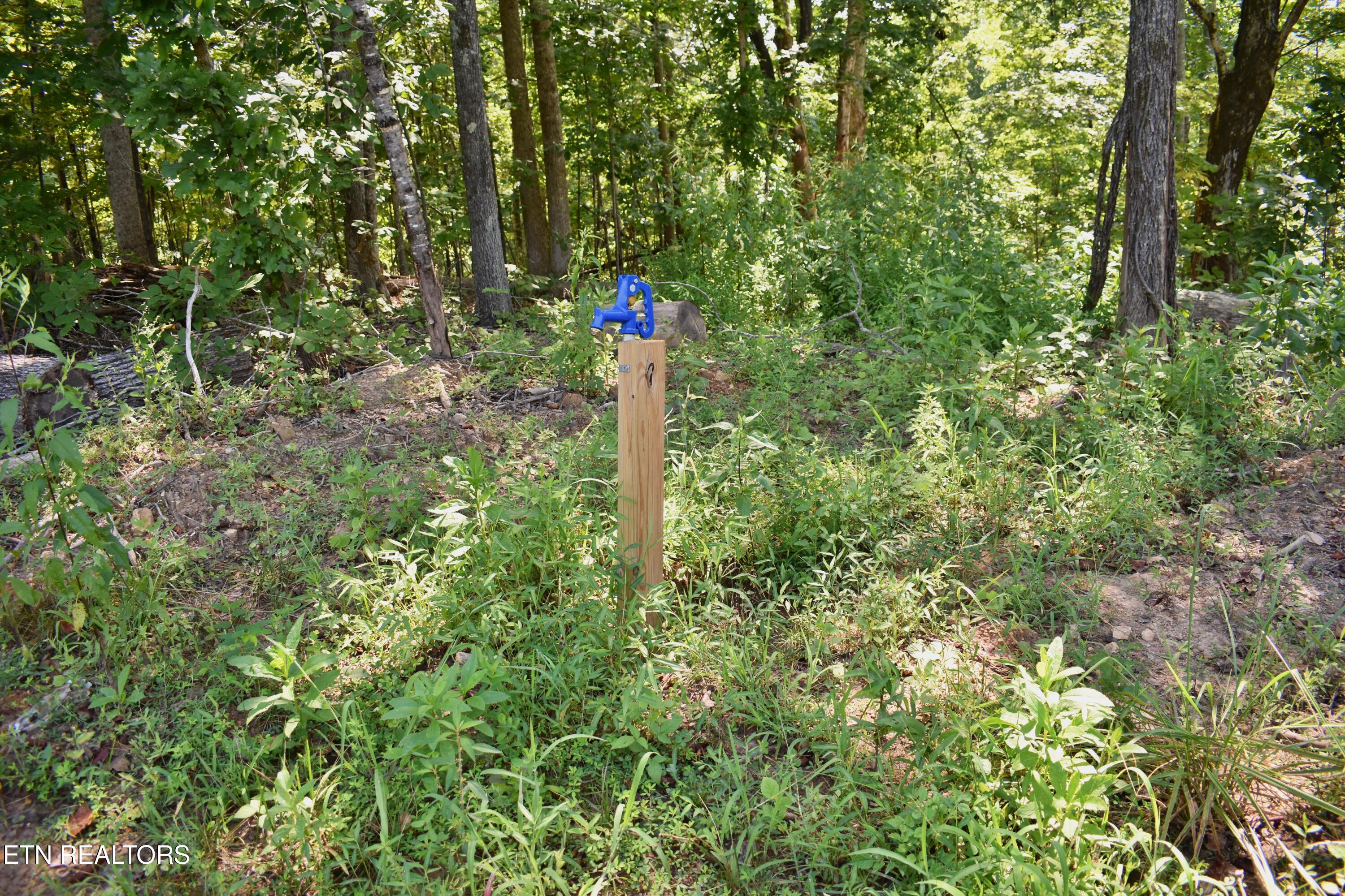 521 Norton Road Philadelphia, TN 37846 - Photo 11 of 42 DSC_0982