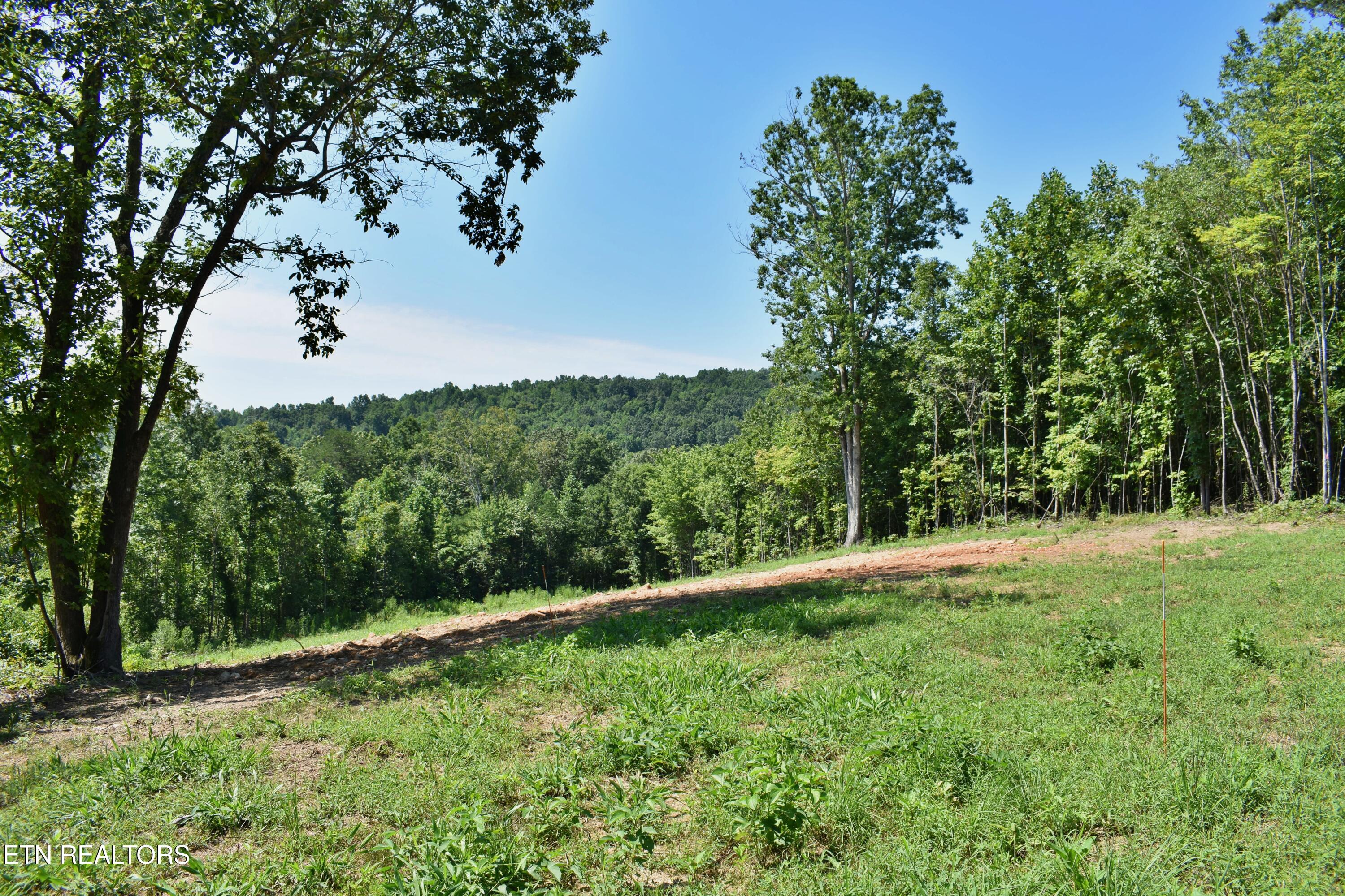 521 Norton Road Philadelphia, TN 37846 - Photo 13 of 42 DSC_0984