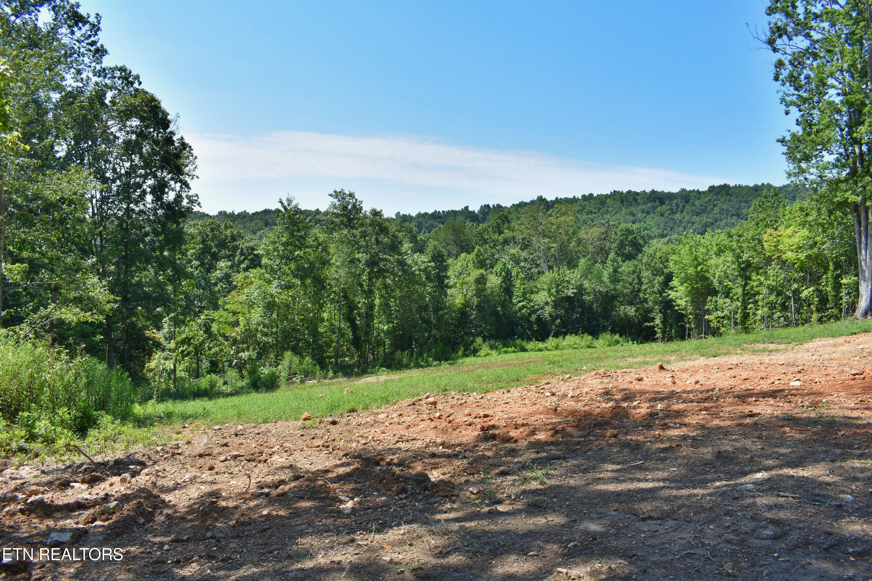 521 Norton Road Philadelphia, TN 37846 - Photo 15 of 42 DSC_0987