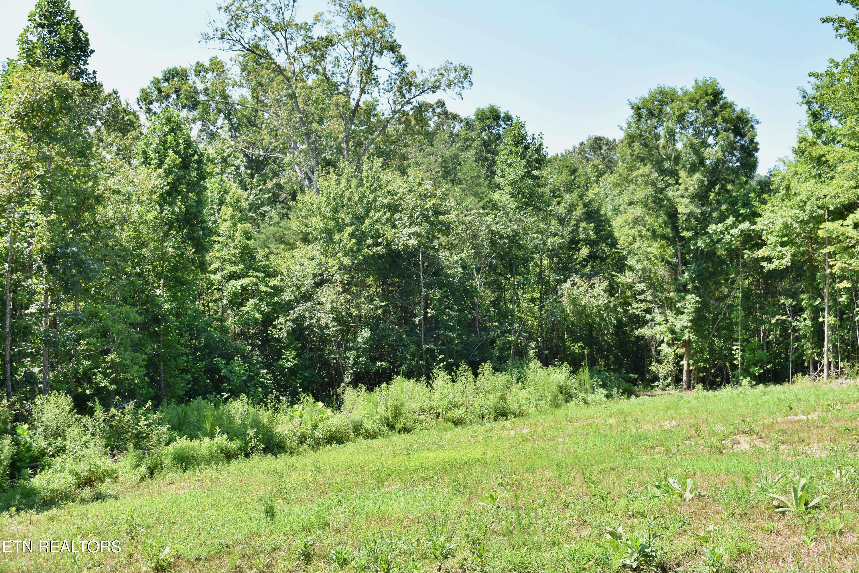 521 Norton Road Philadelphia, TN 37846 - Photo 18 of 42 DSC_0995