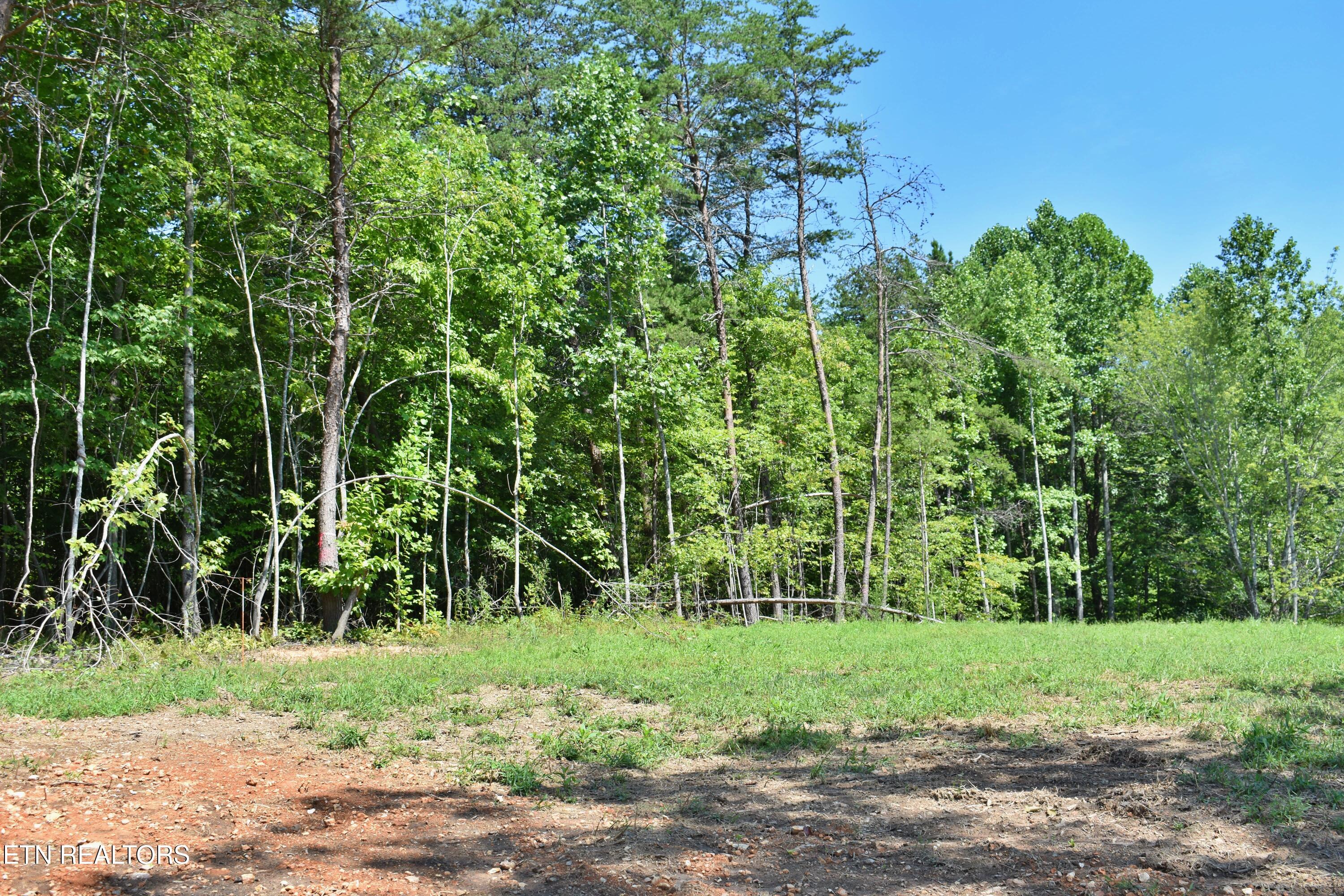 521 Norton Road Philadelphia, TN 37846 - Photo 2 of 42 DSC_0001