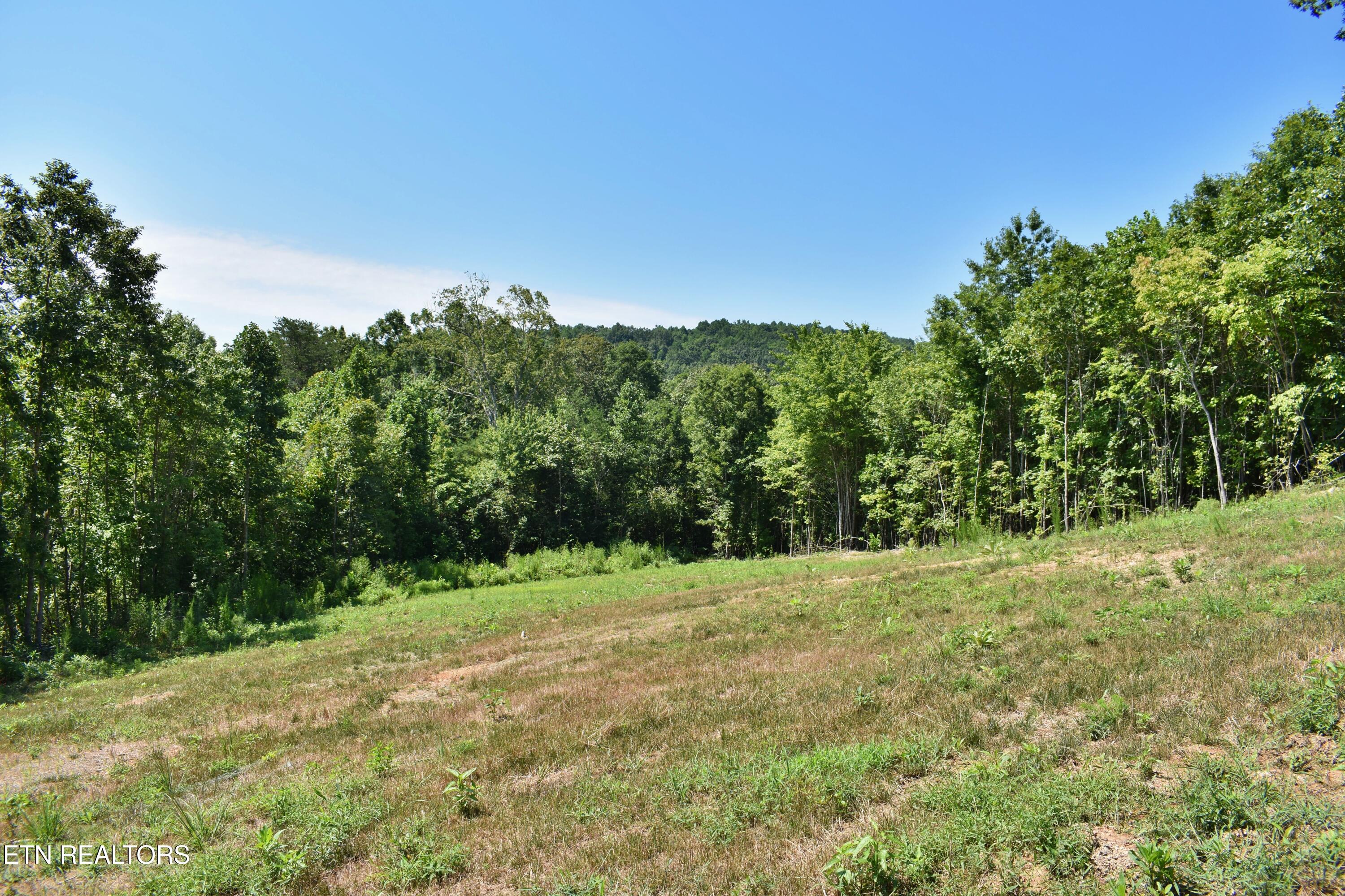 521 Norton Road Philadelphia, TN 37846 - Photo 23 of 42 DSC_0990