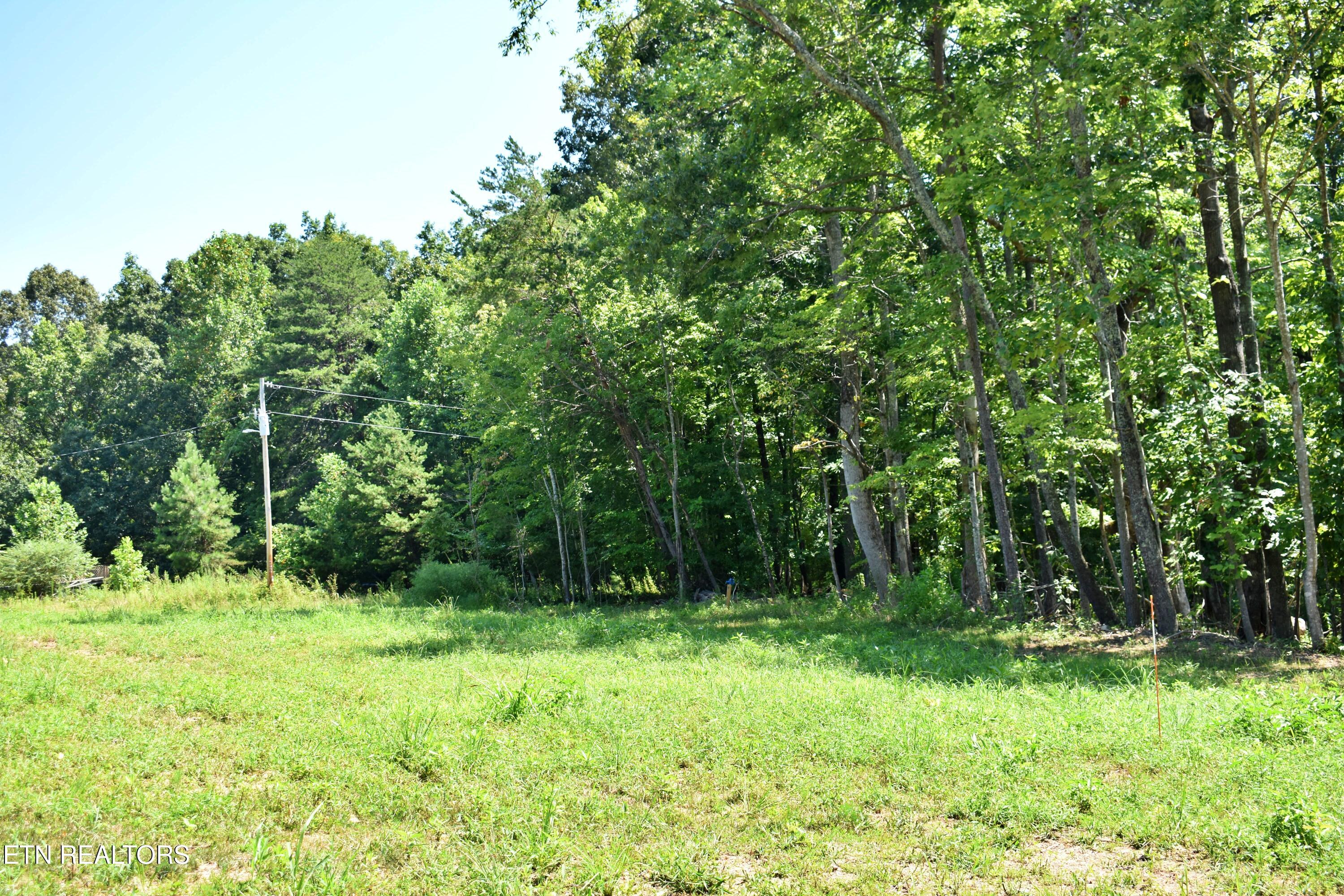 521 Norton Road Philadelphia, TN 37846 - Photo 3 of 42 DSC_0002