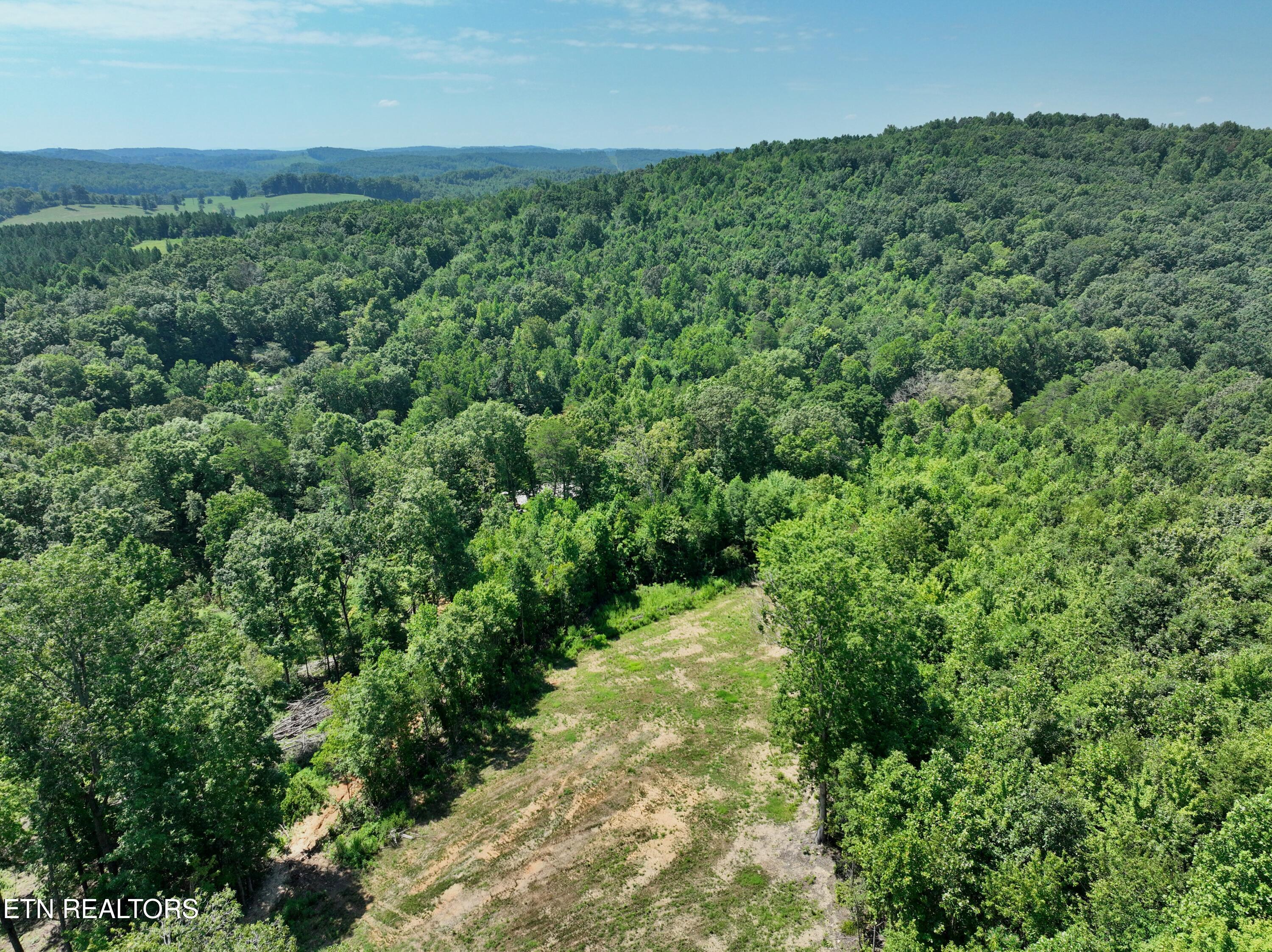 521 Norton Road Philadelphia, TN 37846 - Photo 32 of 42 DJI_0050