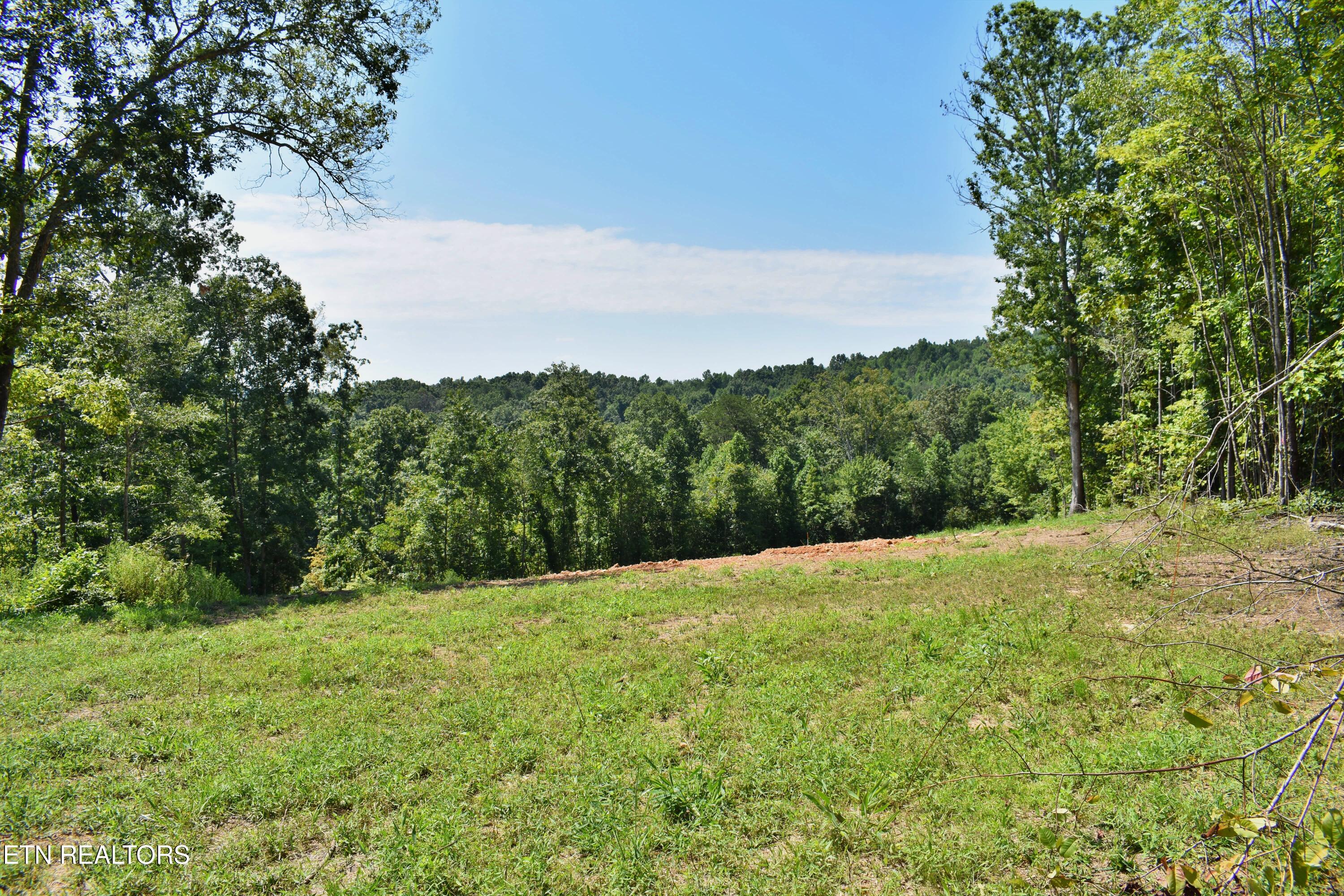 521 Norton Road Philadelphia, TN 37846 - Photo 4 of 42 DSC_0004