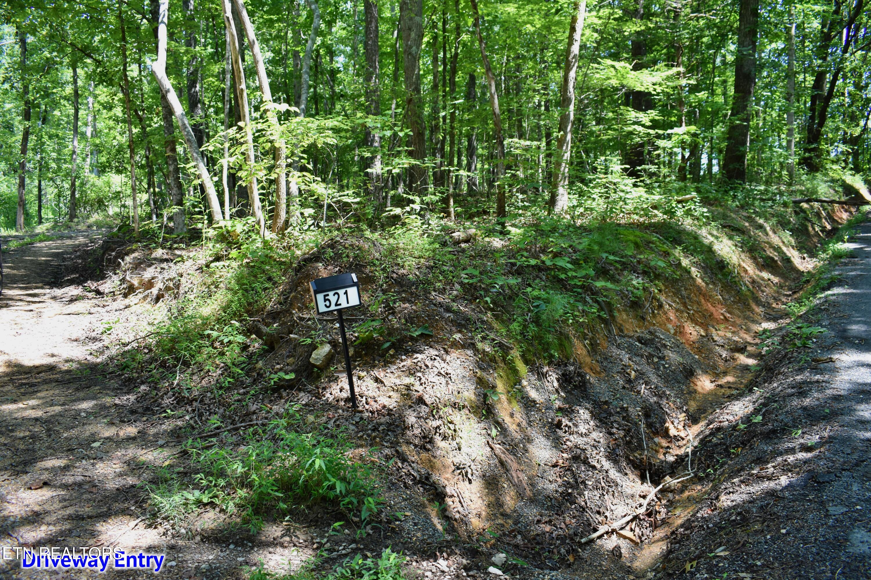 521 Norton Road Philadelphia, TN 37846 - Photo 41 of 42 DSC_0010