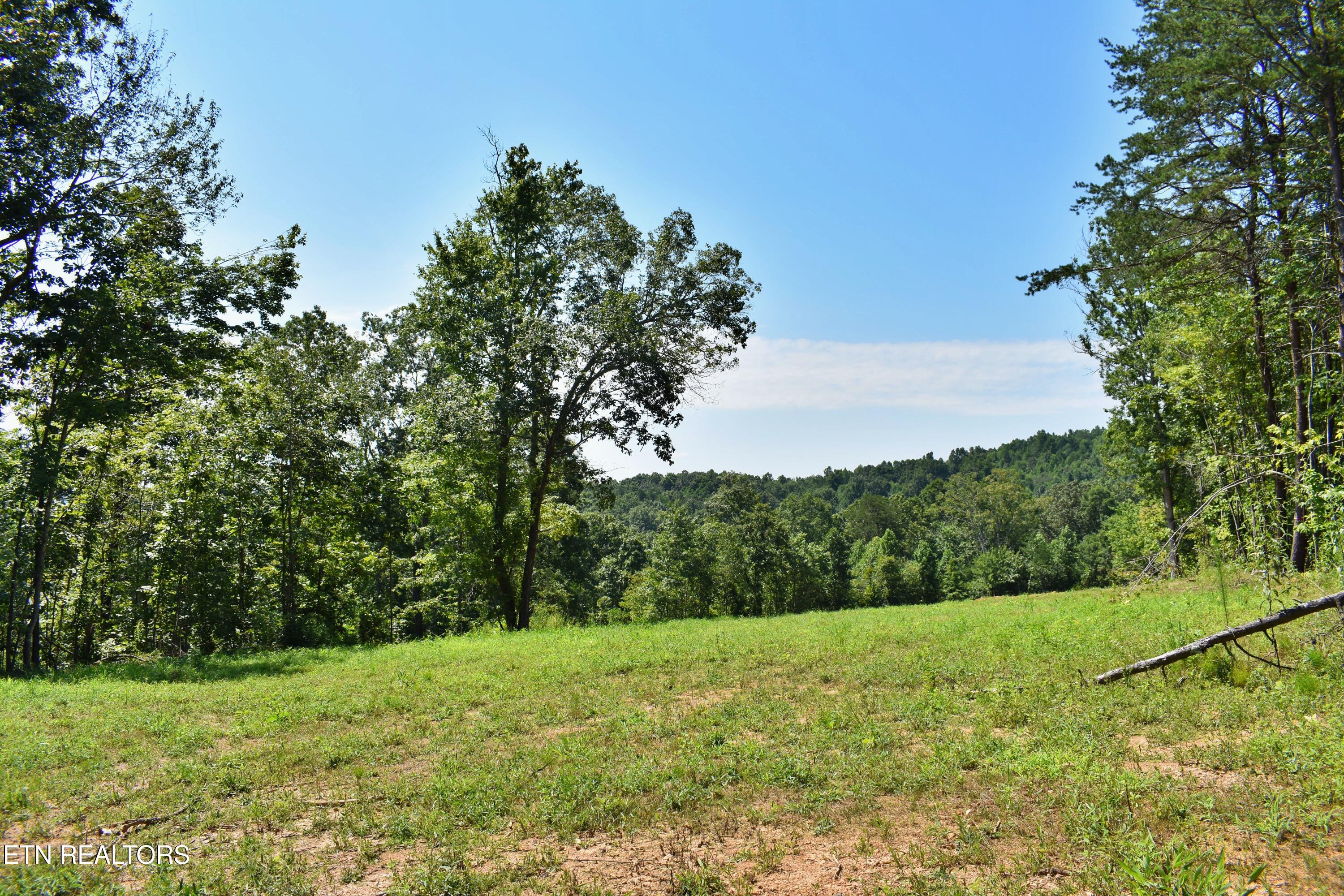 521 Norton Road Philadelphia, TN 37846 - Photo 5 of 42 DSC_0006