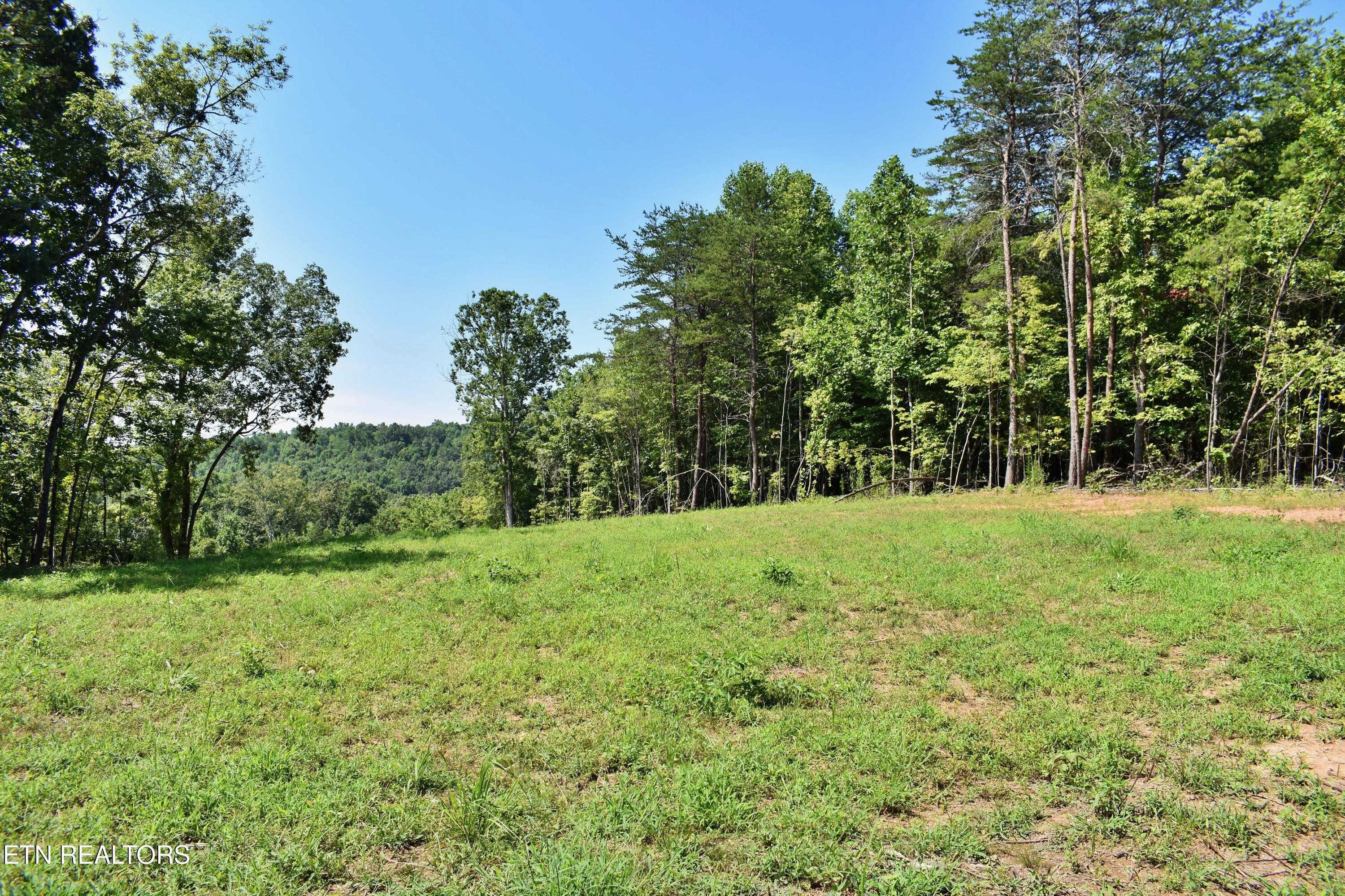 521 Norton Road Philadelphia, TN 37846 - Photo 6 of 42 DSC_0977