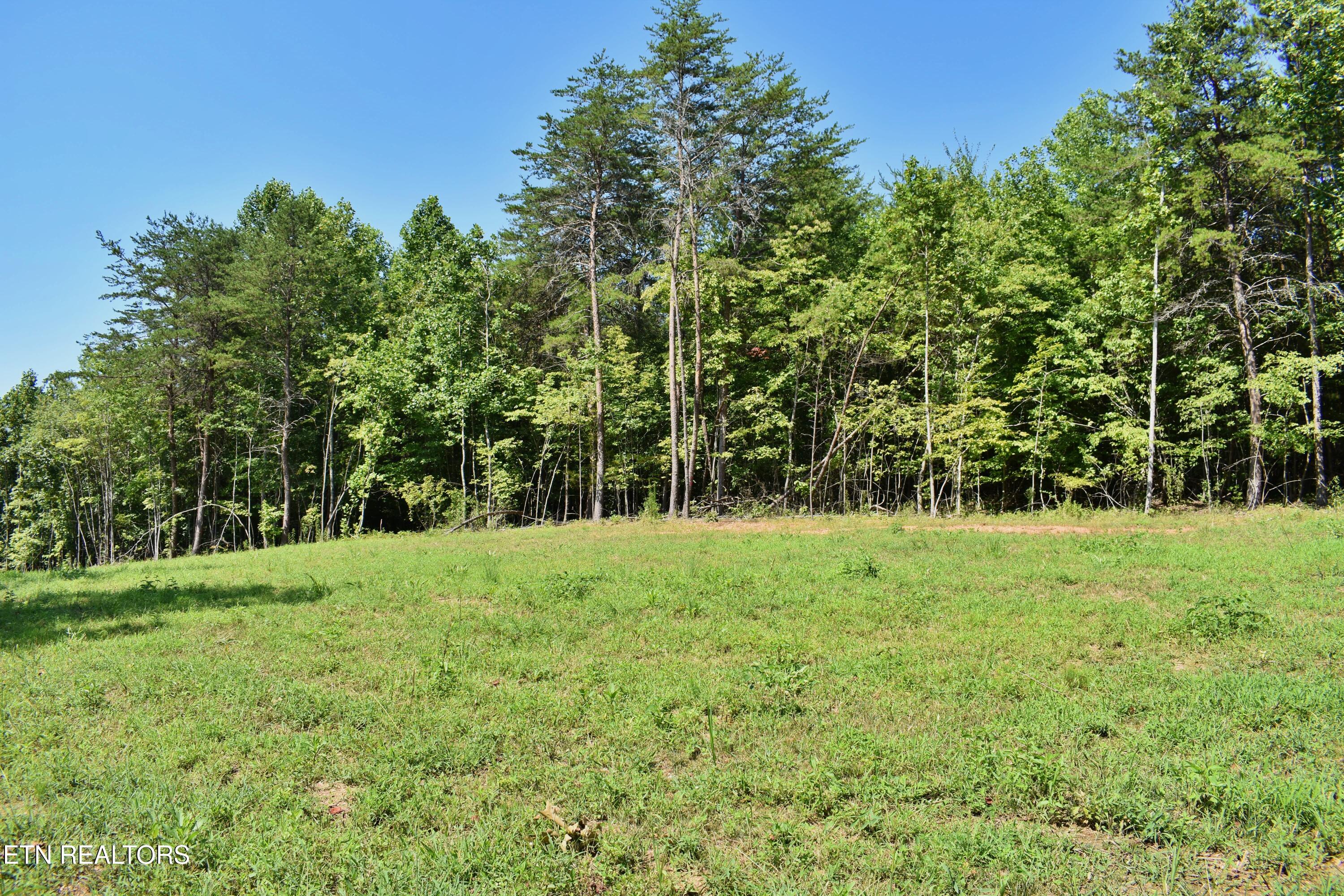 521 Norton Road Philadelphia, TN 37846 - Photo 9 of 42 DSC_0980