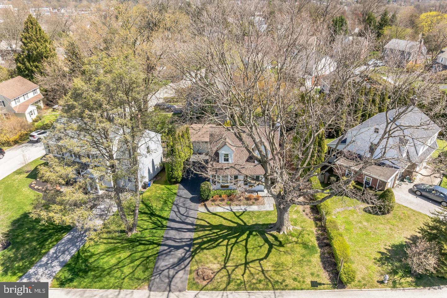419 Locust Road Wayne, PA 19087 - Photo 5 of 5 2024 photos, tree has been removed