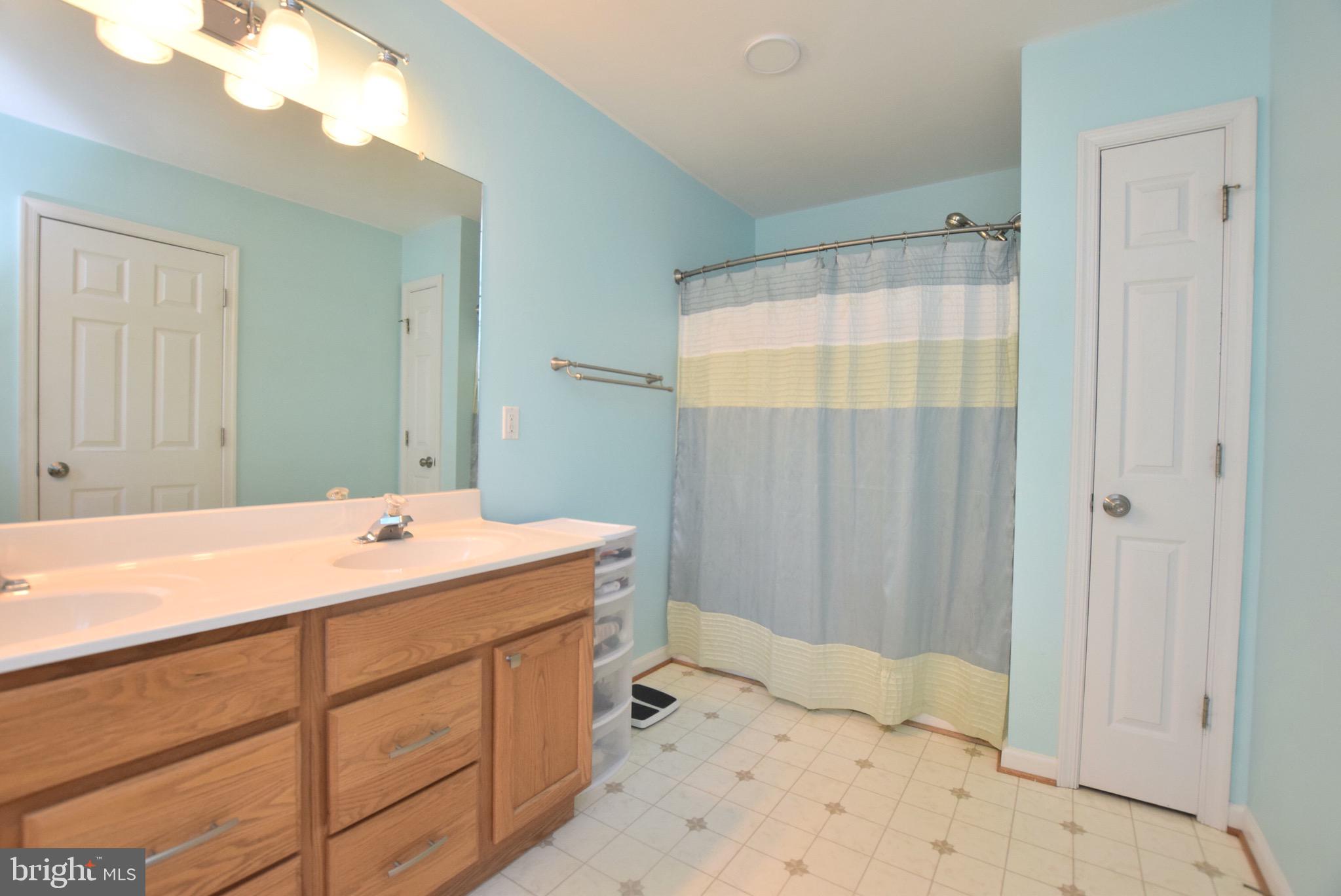 10040 Dulaney Road Rixeyville, VA 22737 - Photo 19 of 30 Master Bathroom