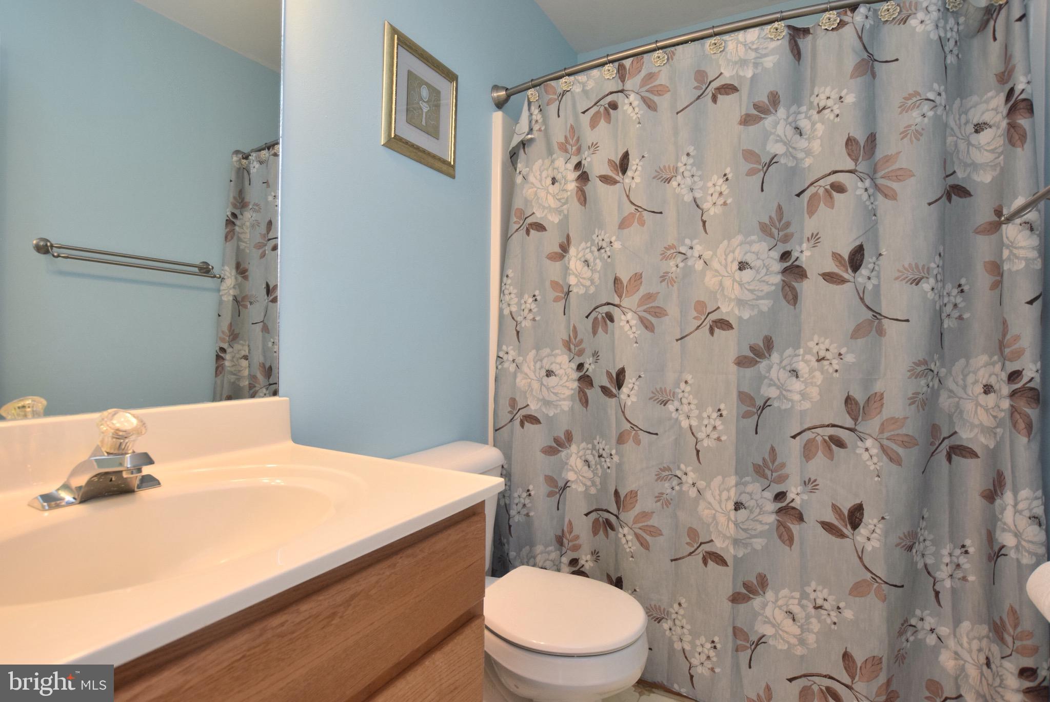 10040 Dulaney Road Rixeyville, VA 22737 - Photo 22 of 30 Hall Bathroom