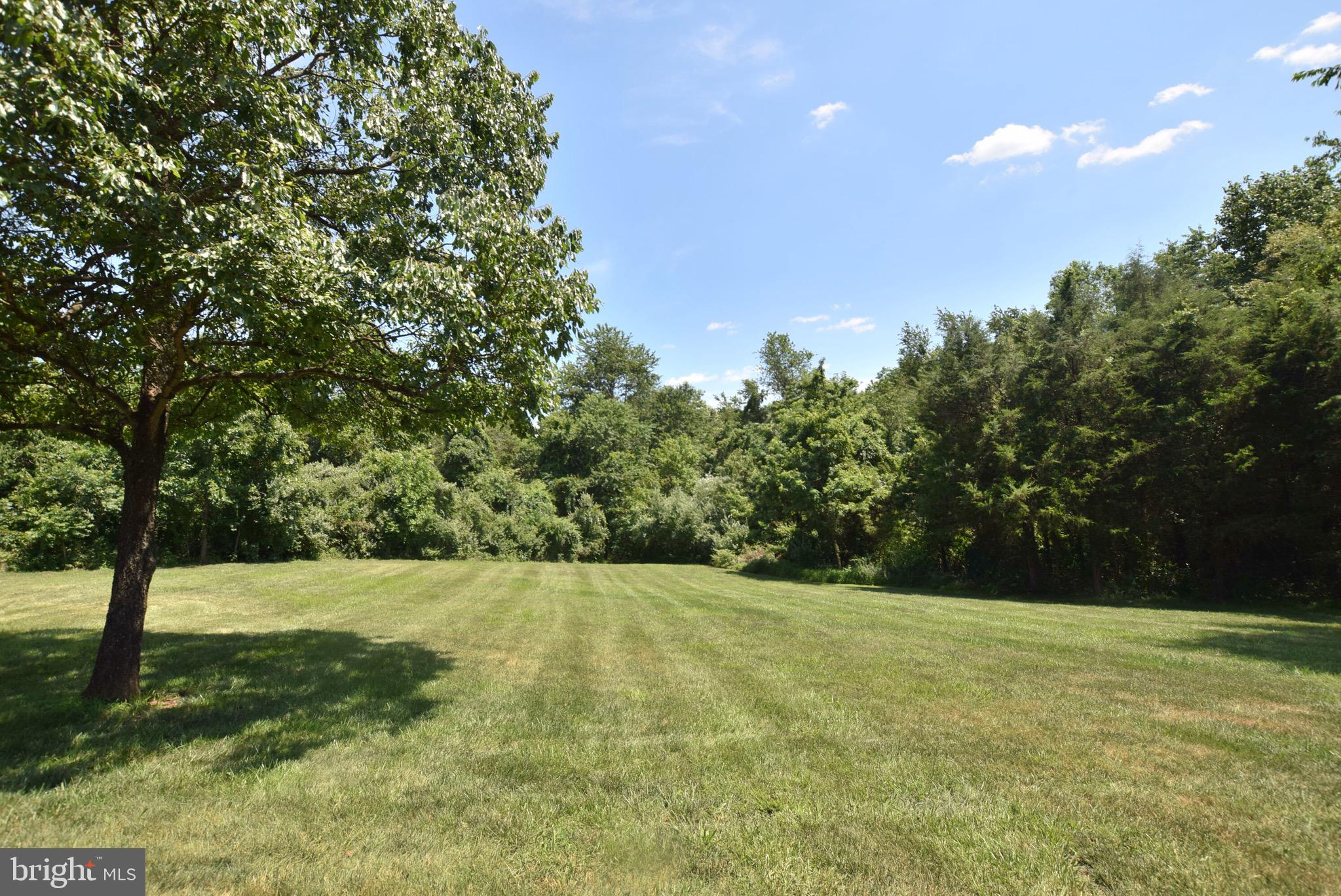 10040 Dulaney Road Rixeyville, VA 22737 - Photo 25 of 30 View From Deck