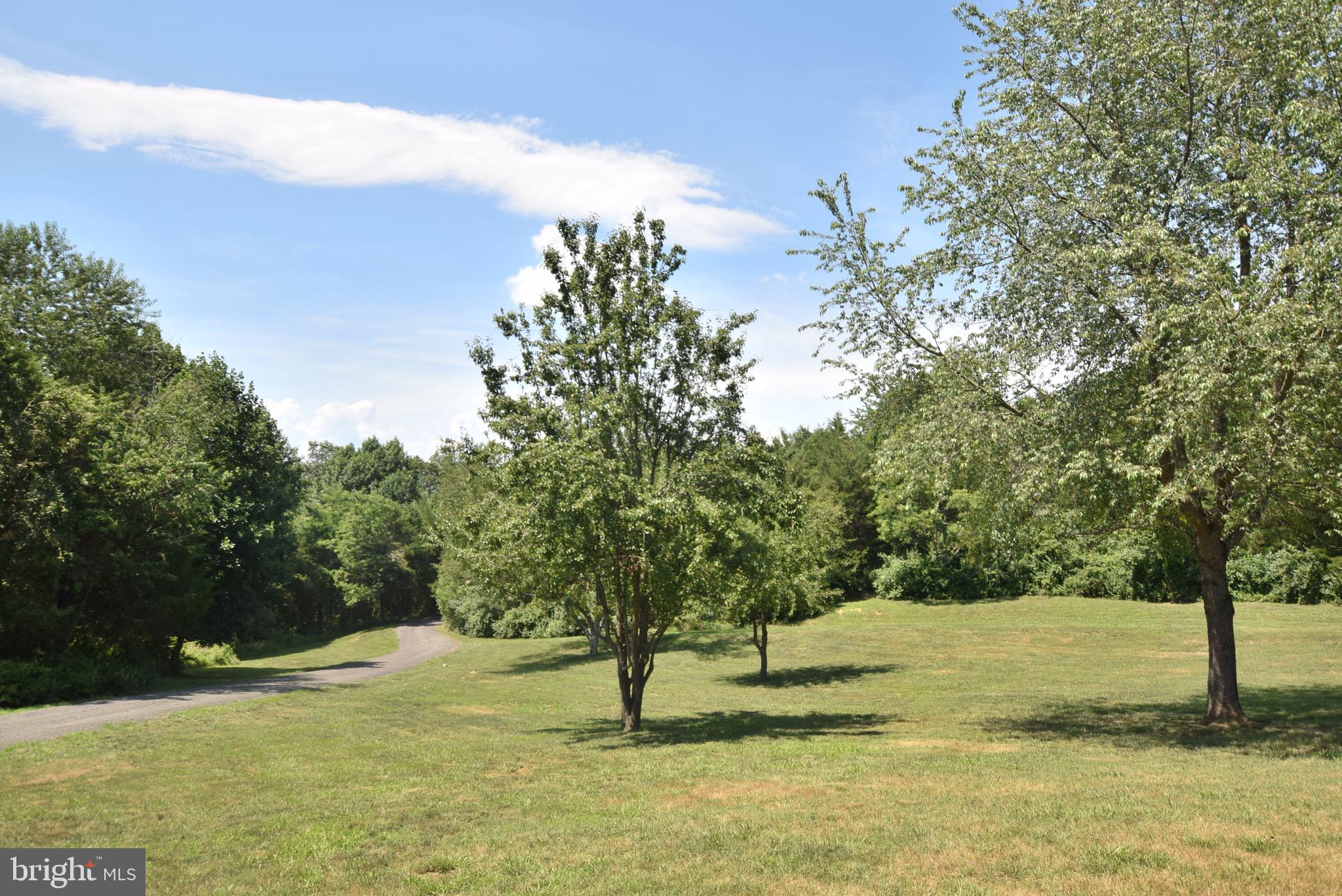 10040 Dulaney Road Rixeyville, VA 22737 - Photo 26 of 30 View From Front Porch