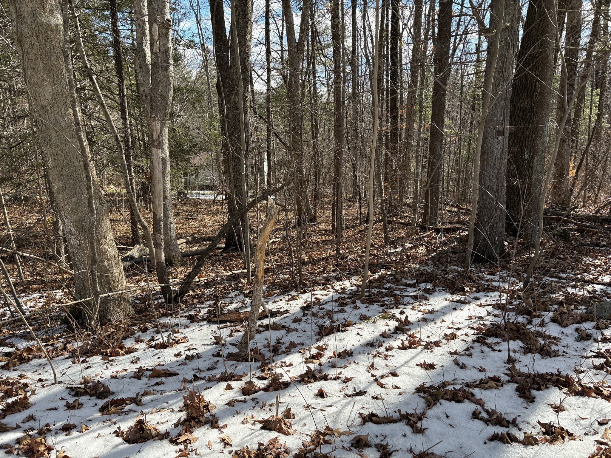 54 Williams Road Holland, MA 01521 - Photo 1 of 4 Gallery Image 1