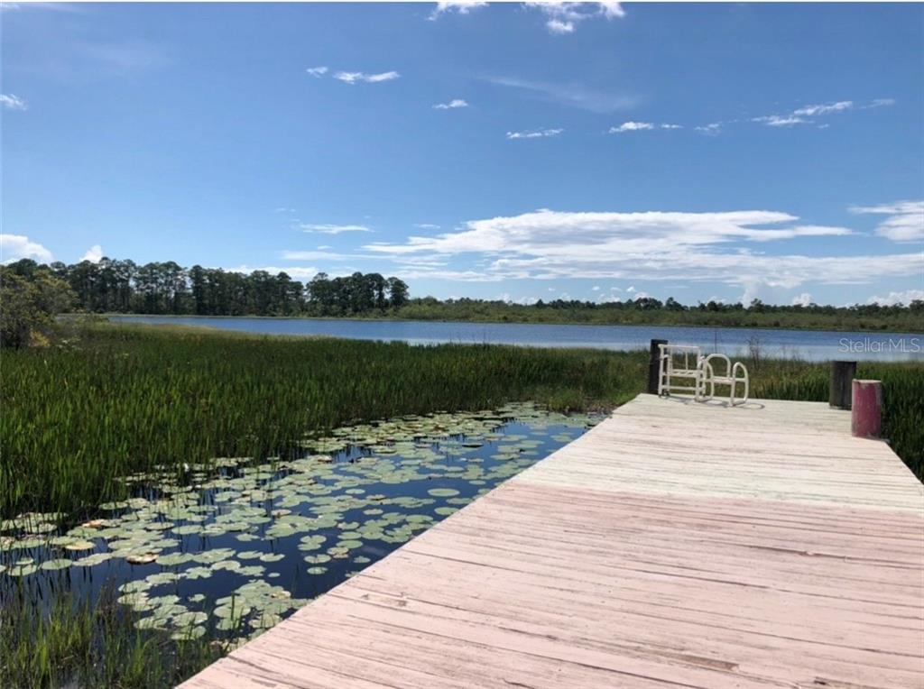 13780 Avalon Road Winter Garden, FL 34787 - Photo 3 of 9