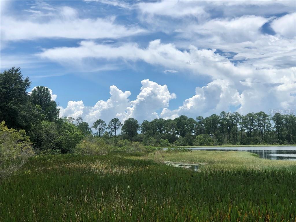 13780 Avalon Road Winter Garden, FL 34787 - Photo 5 of 9