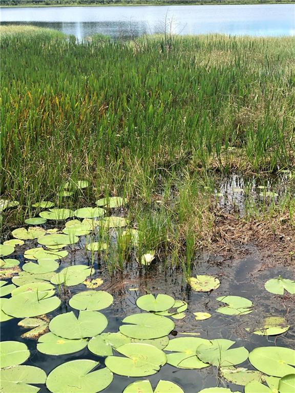 13780 Avalon Road Winter Garden, FL 34787 - Photo 6 of 9