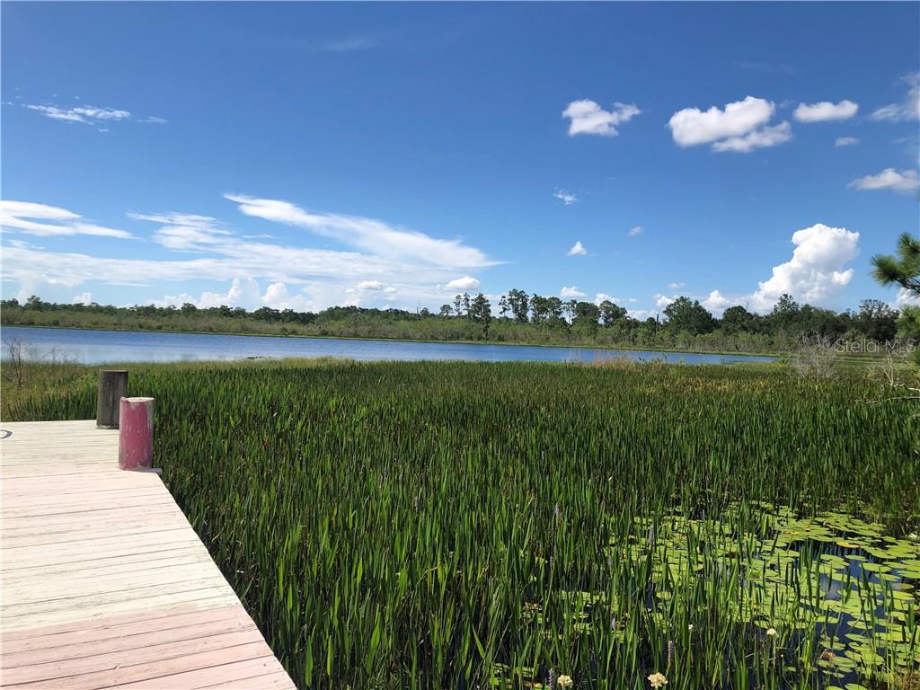 13780 Avalon Road Winter Garden, FL 34787 - Photo 8 of 9