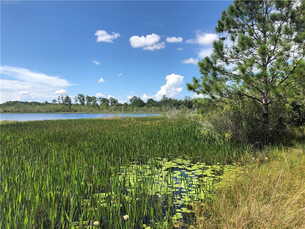 13780 Avalon Road Winter Garden, FL 34787 - Photo 9 of 9