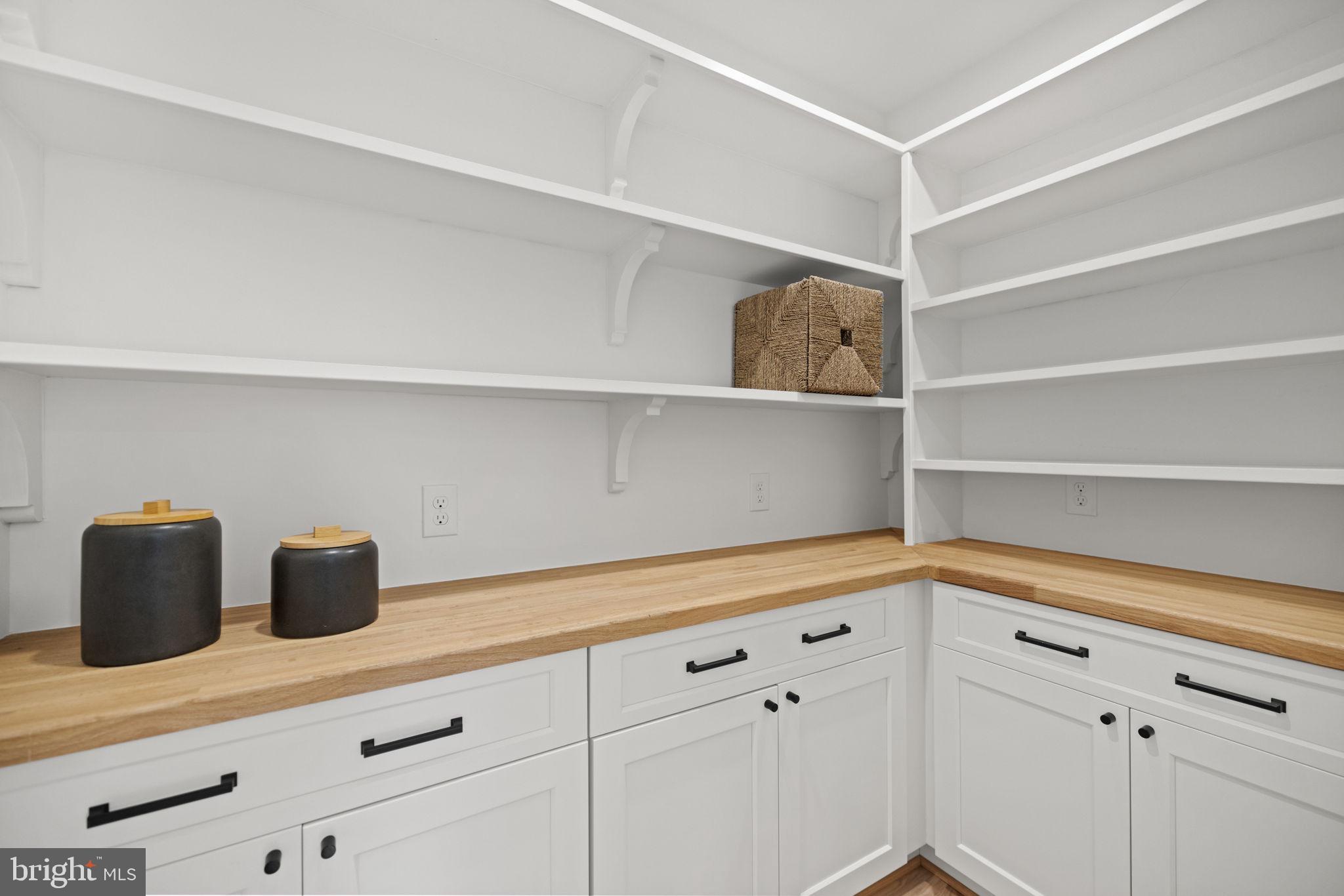 3602 Russell Road Alexandria, VA 22305 - Photo 19 of 66 Walk-in pantry