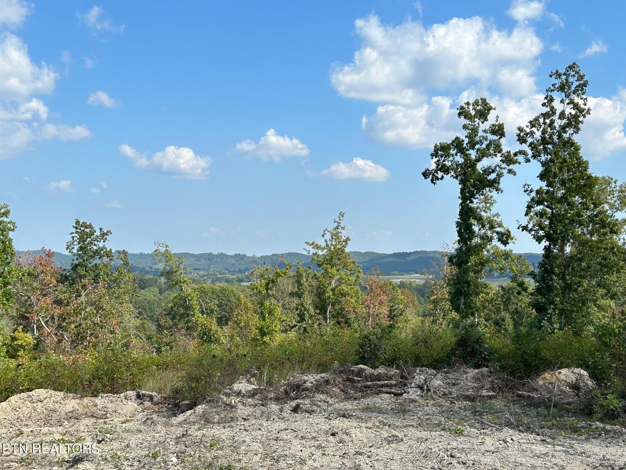 8 Euchee Road Ten Mile, TN 37880 - Photo 9 of 31 Gallery Image 9