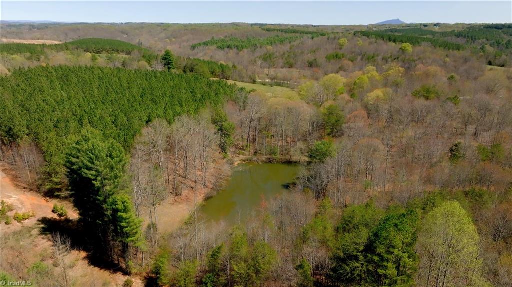 311 Phillips Road Dobson, NC 27017 - Photo 11 of 41