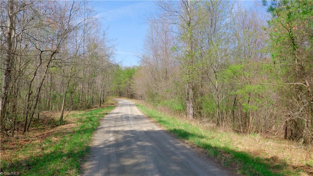 311 Phillips Road Dobson, NC 27017 - Photo 17 of 41