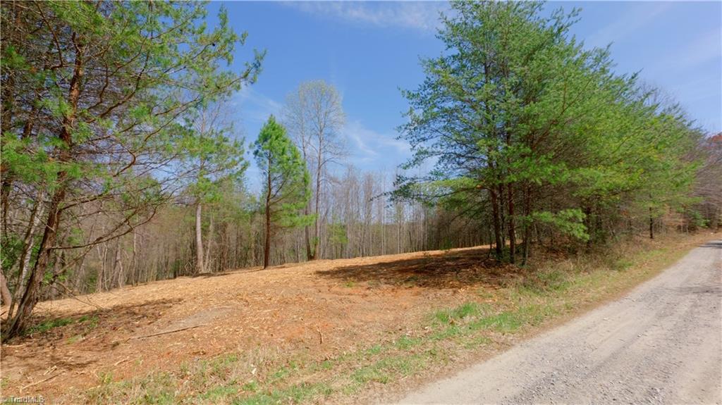 311 Phillips Road Dobson, NC 27017 - Photo 18 of 41