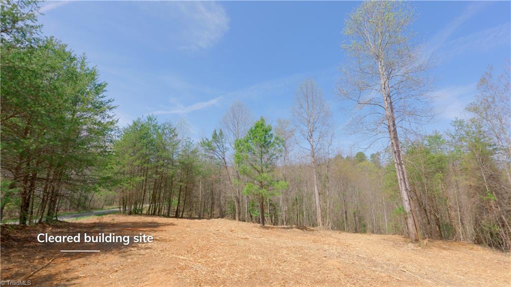 311 Phillips Road Dobson, NC 27017 - Photo 20 of 41