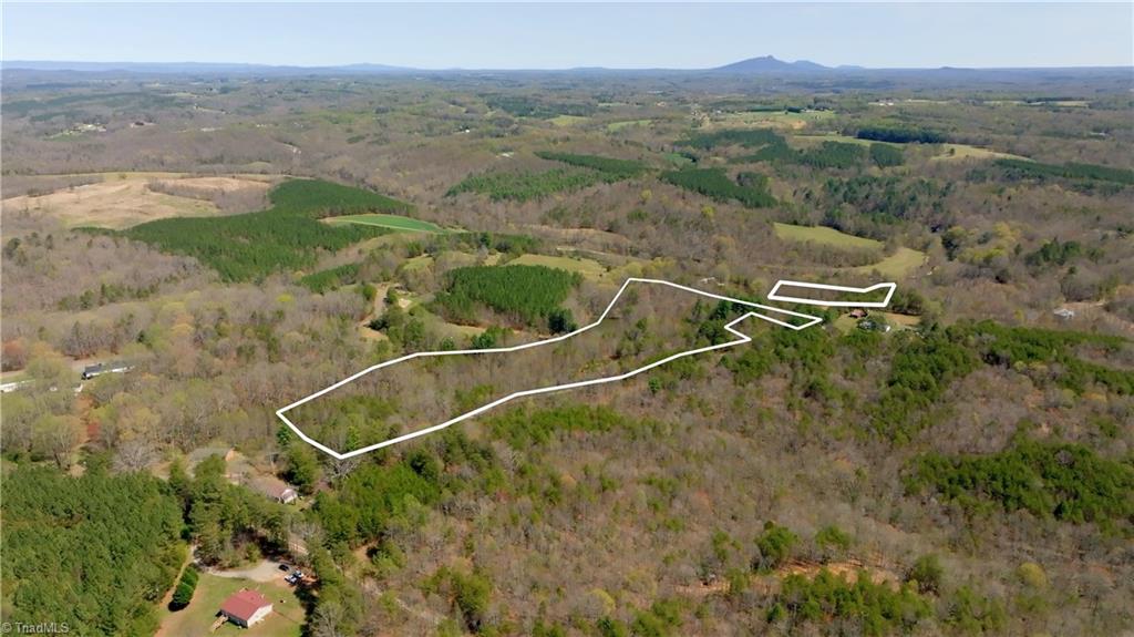 311 Phillips Road Dobson, NC 27017 - Photo 2 of 41