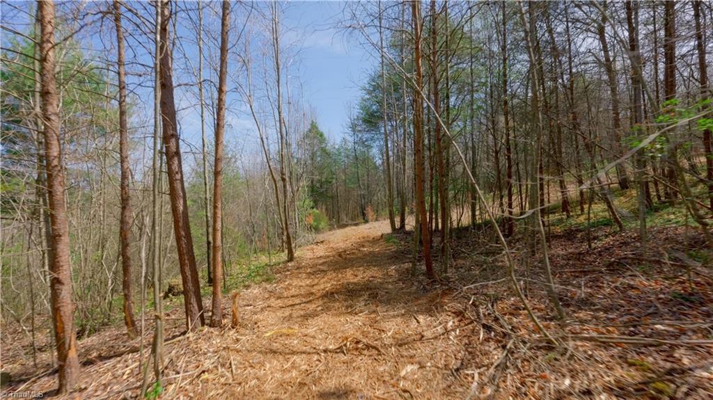 311 Phillips Road Dobson, NC 27017 - Photo 21 of 41